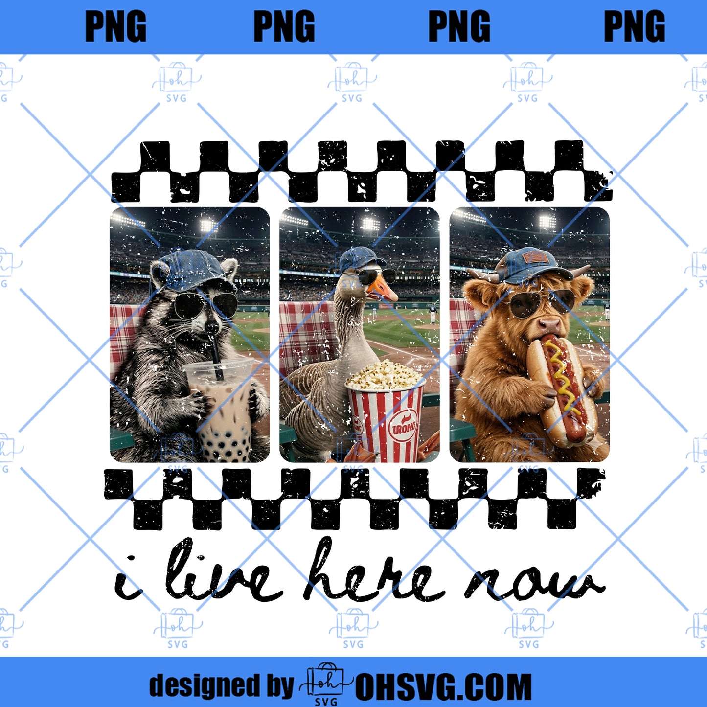 I Live Here Now Png, Raccoon Goose Highland Cow Png, Travel Baseball Softball Png, Retro Sports Fan Png, Funny Game Day Png