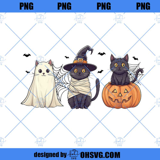 Black Cat Pumpkin Png, Ghots Cat Png