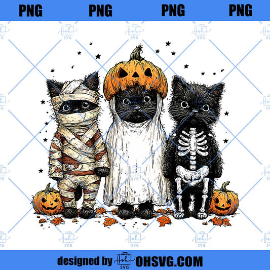 Funny Halloween Cat Png Spooky Cat Png