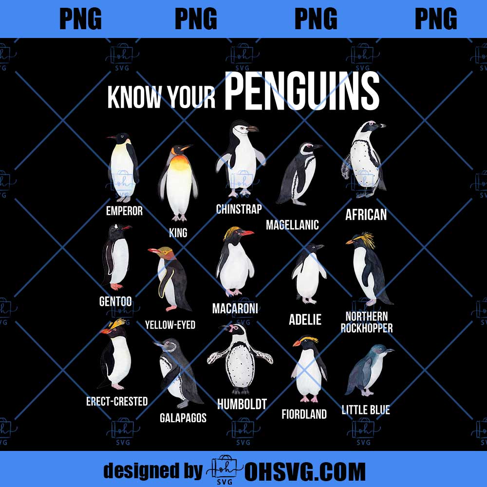 Know Your Penguins PNG, Penguin Antarctic Birds Animals Marine PNG