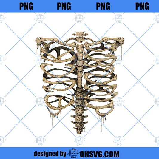 Rib Cage Skeleton PNG