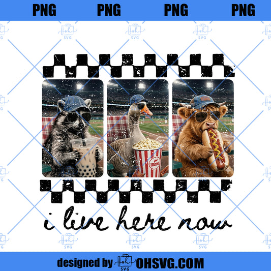 I Live Here Now Png, Raccoon Goose Highland Cow Png, Travel Baseball Softball Png, Retro Sports Fan Png, Funny Game Day Png