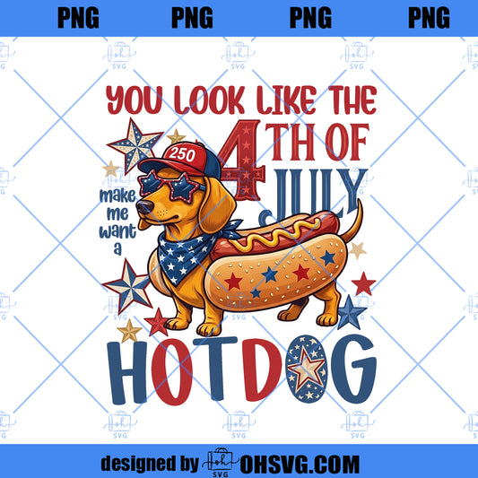 Funny 4th of July Hotdog Dog png, Patriotic Dachshund Design, Red White Blue Shirt Graphic, USA Dog Download