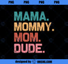 Boy Mom Life Funny Mom Mama Mommy Mom Dude PNG, Mom PNG, Mothers Day PNG