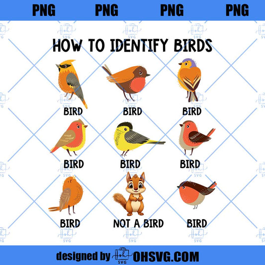 How To Identify A Bird Funny Birds Lover Nature Birdwatcher PNG