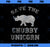 Save The Chubby Unicorn Shirt Funny Unicorn Lover Gift Idea PNG, Magic Unicorn PNG, Unicorn PNG