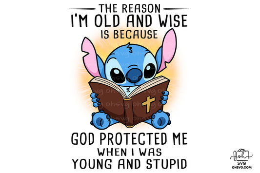 The Reason I'm Old And Wise PNG, Stitch PNG, Cartoon PNG