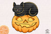 Cat Sleep Pumpkin Halloween Sublimation PNG, Cat Halloweentown PNG, Halloween T-shirt PNG