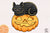 Cat Sleep Pumpkin Halloween Sublimation PNG, Cat Halloweentown PNG, Halloween T-shirt PNG