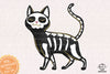 Cat Bone Halloween Sublimation PNG, Cat Halloweentown PNG, Halloween T-shirt PNG