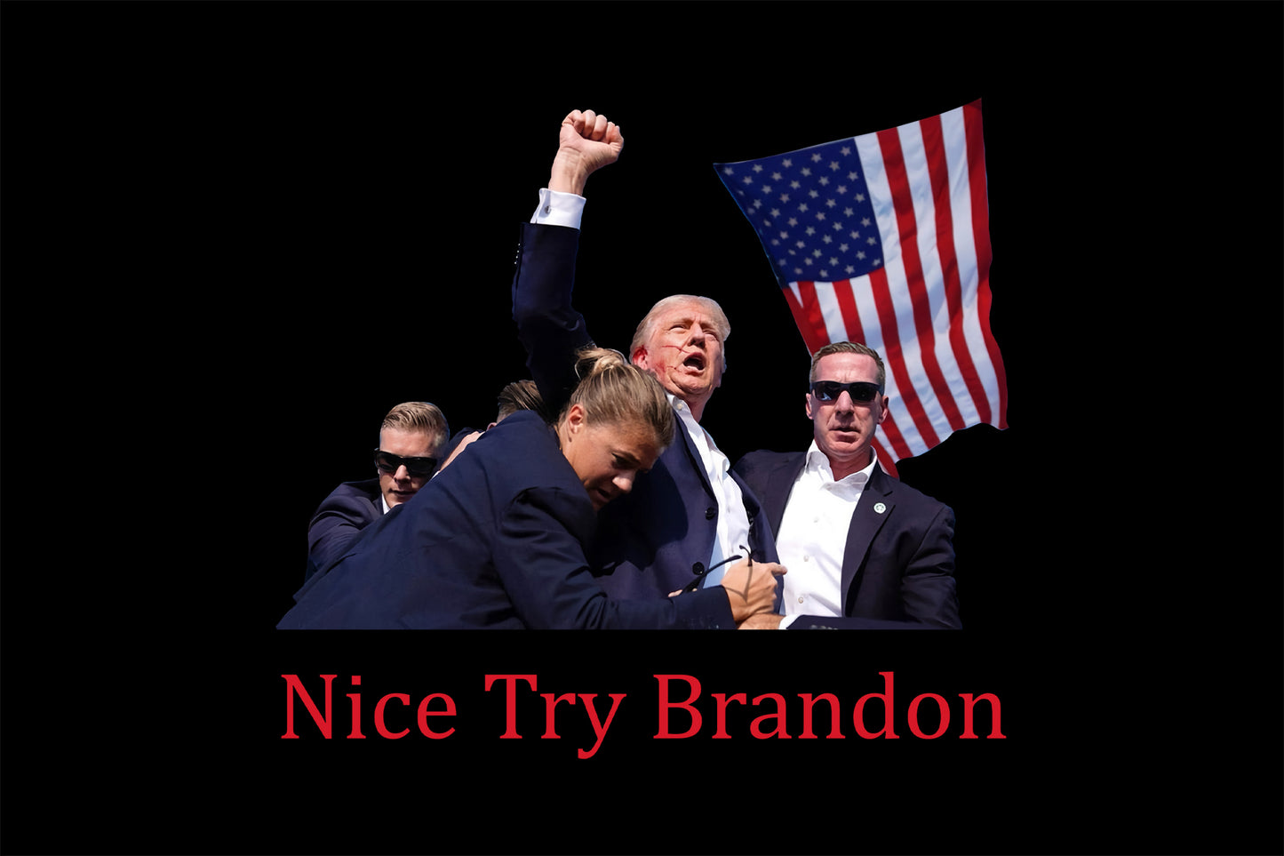 Nice Try Brandon PNG, Trump PNG, Vote PNG