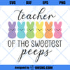 Teacher Of The Sweetest Peeps SVG, Easter Teacher SVG