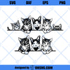 Cat Peeking SVG, Cat SVG PNG DXF Cut Files For Cricut