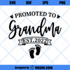 Promoted To Grandma Est 2022 SVG, Grandma SVG, First Time Grandma SVG