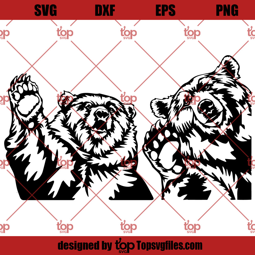 Bear SVG, Funny Wild Animal Bear SVG, Peeking Bear SVG