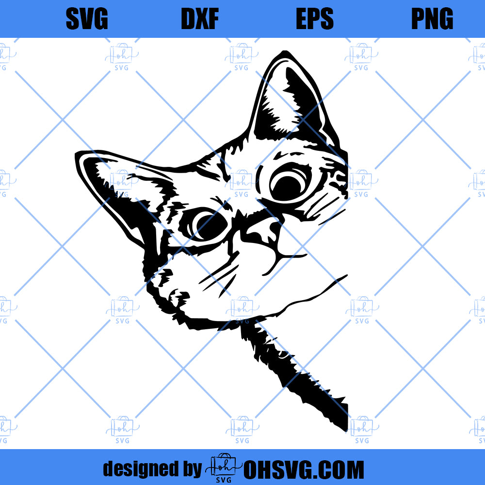 Cute Cat SVG, Staring Cute Cat SVG PNG DXF Cut Files For Cricut