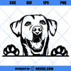 Labrador Retriever SVG, Labrador Peeking Smiling Dog Breed SVG