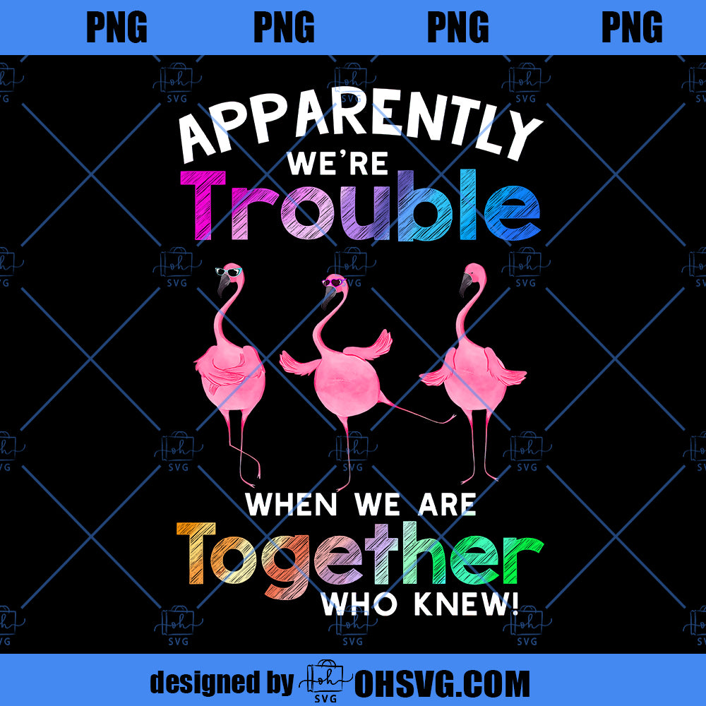 Apparently We're Trouble When We're Together Who Knew PNG, Flamingo PNG