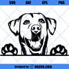 Labrador SVG, Dog SVG, Labrador Peeking SVG, Dog Breeds SVG, Dog Peeking SVG
