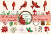 Watercolor Christmas Cardinal PNG, Cardinal Poinsettia Holly Leaves PNG, Cardinal Holly Berry Cones PNG