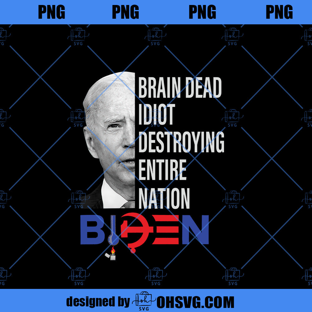 Brain Dead Idiot Destroying Entre Nation Biden PNG, Funny Shirts PNG